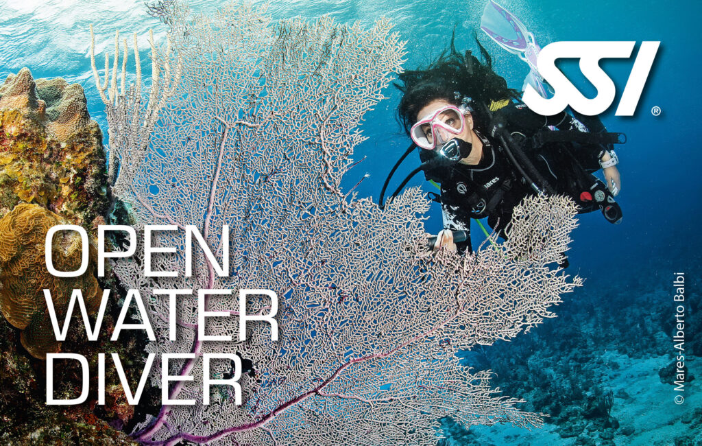 OWD Open Water Diver