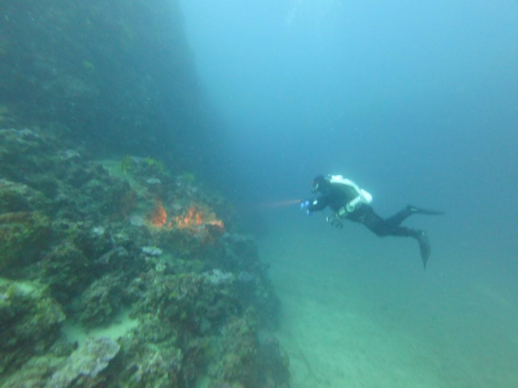 Taucher erkundet die Unterwasserwelt bei Krk